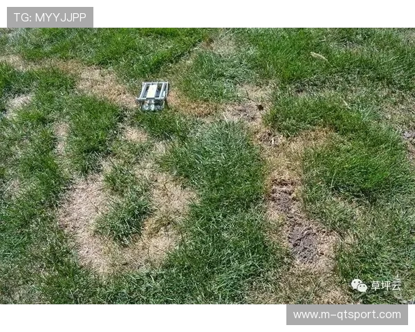 恶劣天气条件阻碍草坪恢复,巴列卡斯球场安全检查未达标